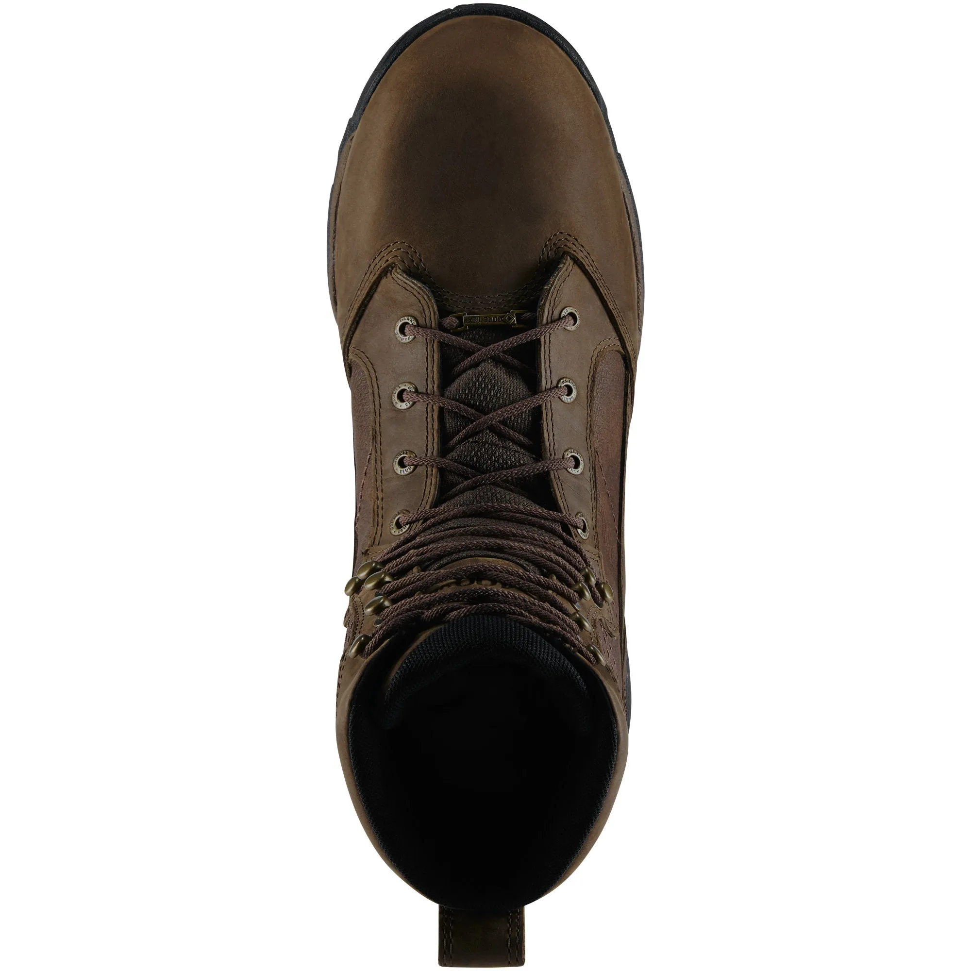 Danner Pronghorn All-Leather Boot