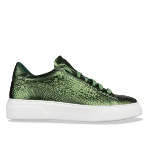 tavour - green